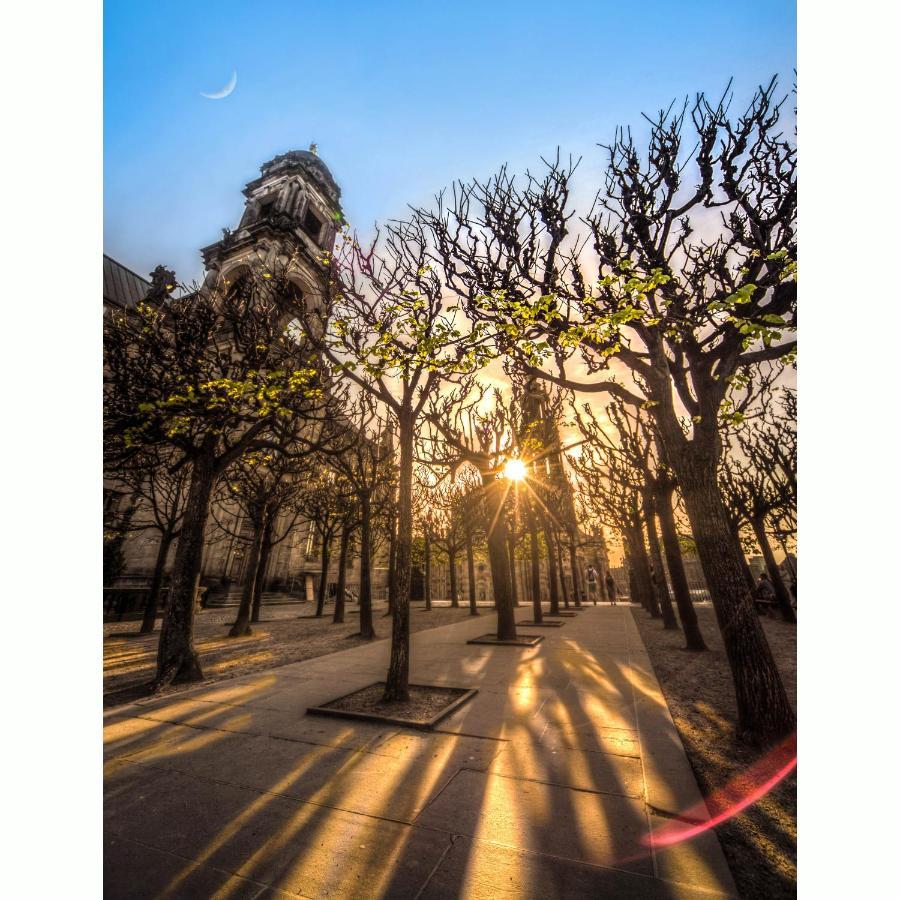 Gaestezimmer In Dresden Mit Dach-Terrasse, Wohnbereich Und Kuecheアパートメント エクステリア 写真
